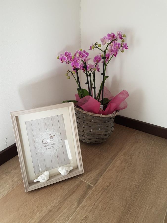 Strigno Masetto Egidio Eco-Agritur 빌라 외부 사진