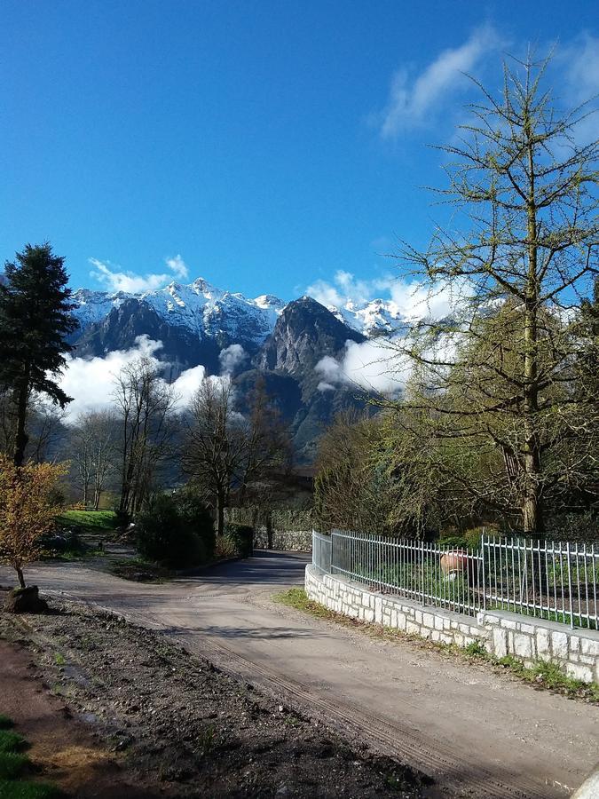 Strigno Masetto Egidio Eco-Agritur 빌라 외부 사진