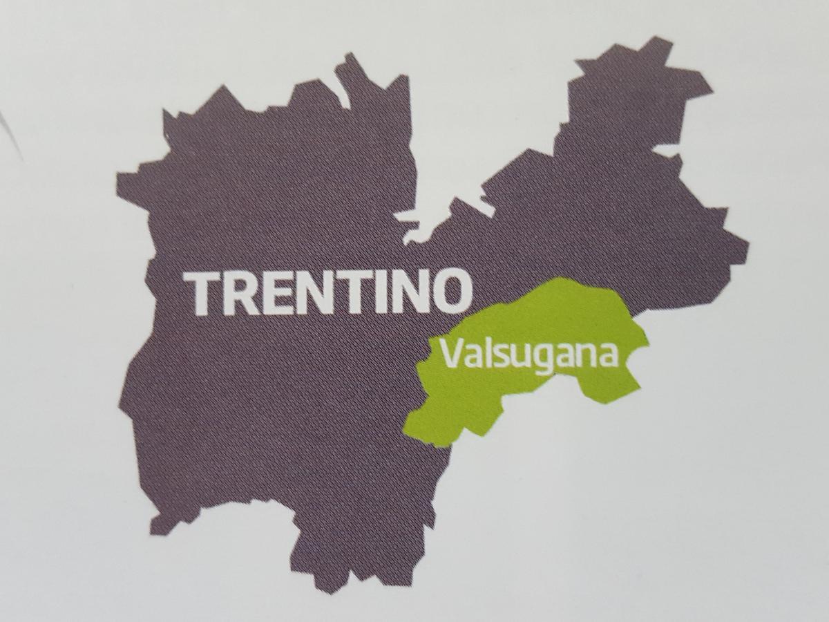Strigno Masetto Egidio Eco-Agritur 빌라 외부 사진